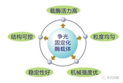 爭光固定化酶載體Zhengguang immobilized enzyme carrier